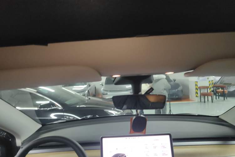 Used Tesla Model Y 2021 Standard Range Rear-Wheel Drive Version
