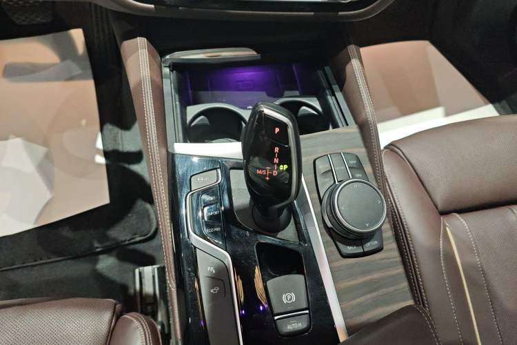 Used BMW 5 Series 2020 530Li Luxury Edition Premium Package