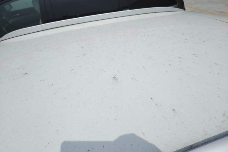 Used Wuling Hongguang MINIEV 2024 3rd Generation 215km Advanced Version Roof