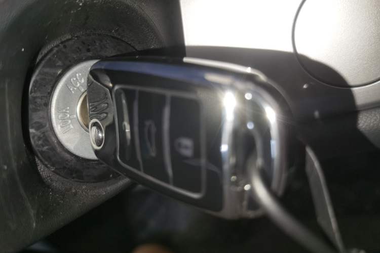 Used Qiyuan Lumin 2023 205km Xiangqin Version
