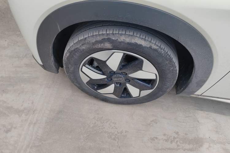 Used BYD Dolphin 2024 Honor Edition 420km Freedom Version Exterior 4