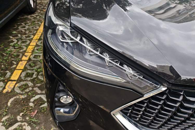 Used Haval F7 2019 2.0T Two-Wheel-Drive i-Van China VI Standard
