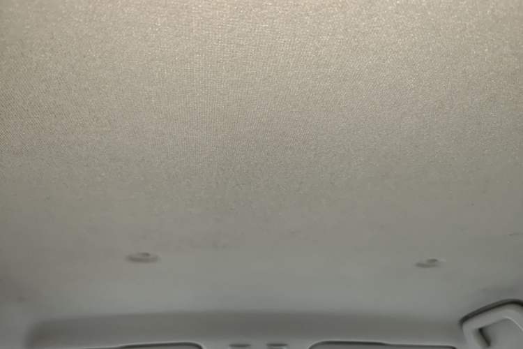 Used ORA Black Cat 2019 351 km Goddess Edition