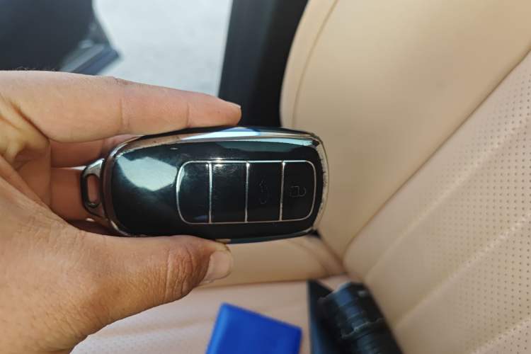 Used Chery Tiggo 9 2023 2.0T Dual-Clutch Two-Wheel Drive Prestige Version 7 Seats