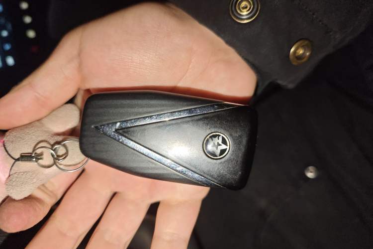 Used Venucia Star 2020 260T Automatic XingShang Edition