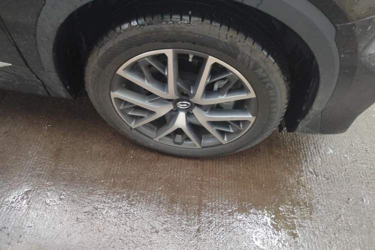 Used GAC Trumpchi GS8 2024 Linghang Series 2.0 TGDI Two-Wheel Drive Luxury Smart Connectivity Version
