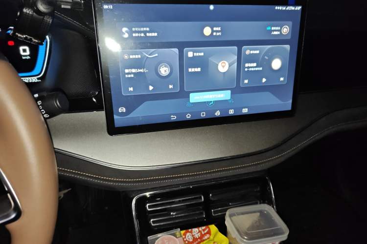 Used BYD Tang New Energy 2021 DM-i 112KM Prestige Model Audio And AC Panel