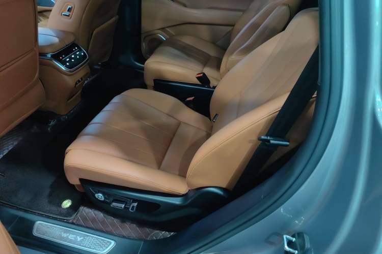 Used Wey Lanshan 2023 Four-Wheel Drive Ultra-Long Range Version