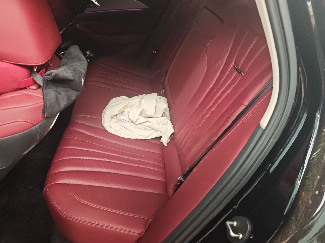 Hongqi H5 2024 2.0T Automatic Smart Connect Flagship Edition - Chinese Trim Chang — снимка 17