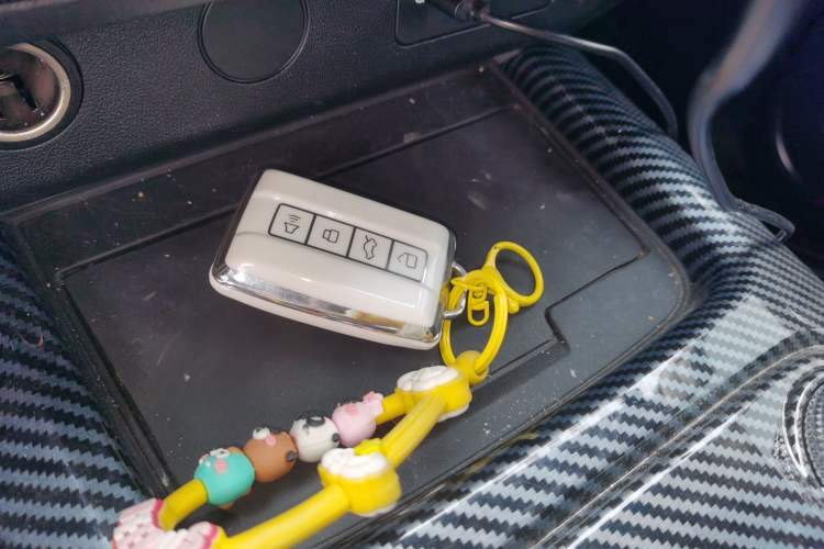 Used Tank 300 2024 2.0T Conqueror
