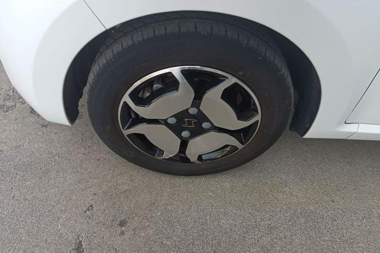 Used SOL E10X 2022 Flower Fairy Style Baby's Breath
