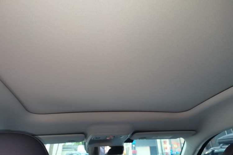 Used Leapmotor C10 2024 530 Smart Edition Headliner