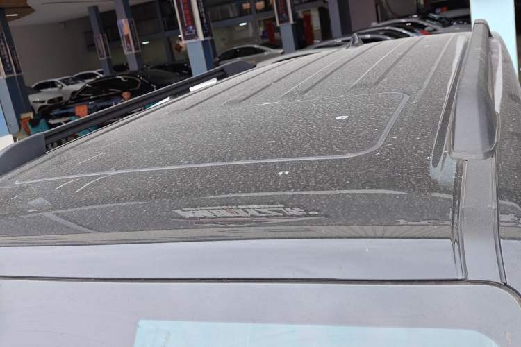 Used Tank 300 2024 2.0T Conqueror