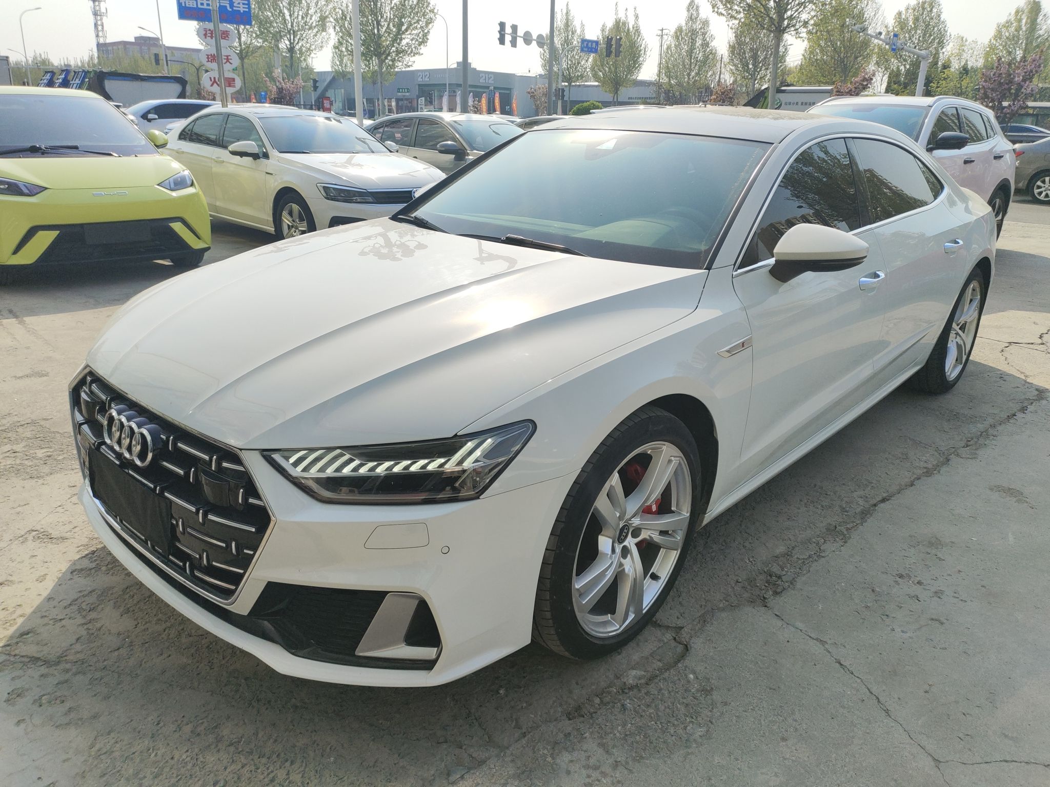 Parte inferior delantera