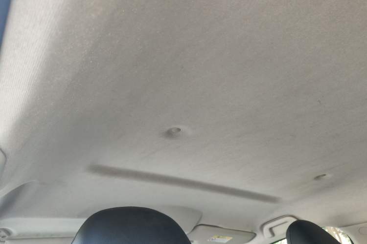 Used Great Wall Poer 2021 2.0T Commercial Version Automatic Diesel Two-Wheel Drive Elite Trim with Long Bed – GW4D20M Headliner