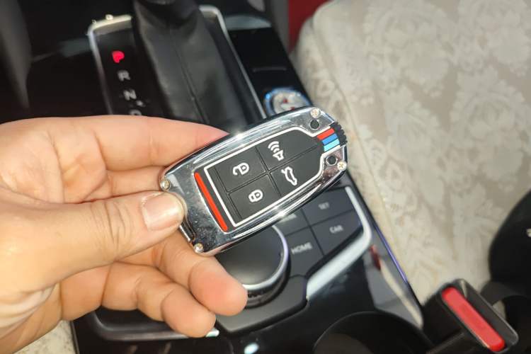 Used BORGWARD BX5 2020 20TGDI Automatic Two-Wheel Drive Pioneer Edition