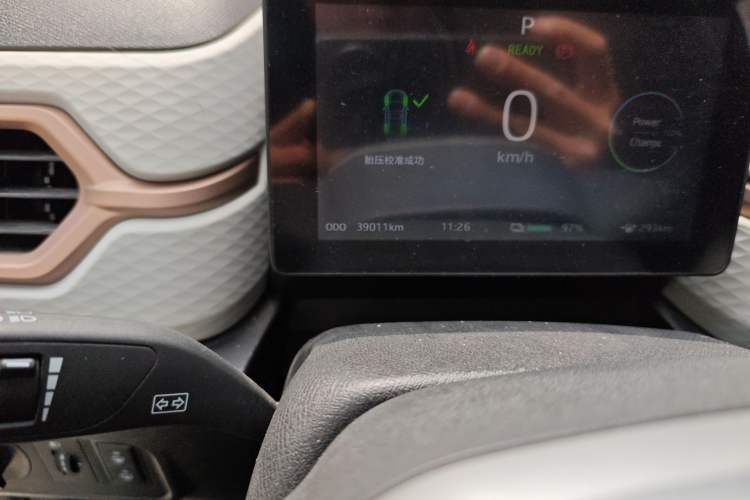 Used SOL E10X 2022 Flower Fairy Design Four-Leaf Clover