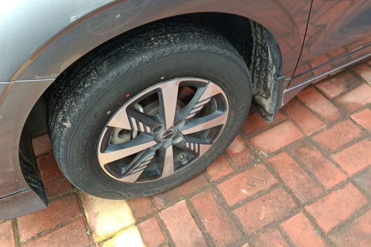 Used BYD e2 2023 Luxury Model