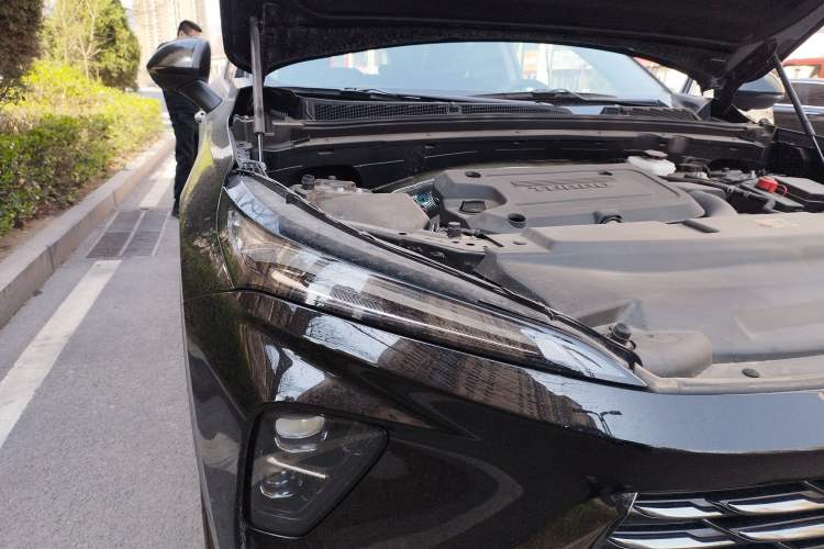 Used Buick Envision 2024 Encore Plus 28T Two-Wheel Drive Luxury Edition
