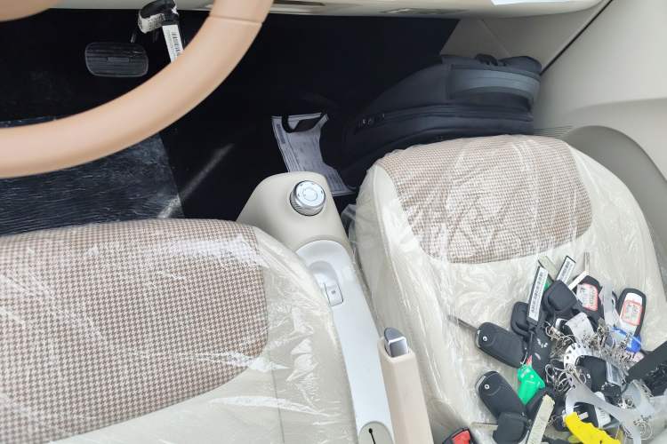 Used Wuling Hongguang MINIEV 2024 3rd Generation 215km Youth Edition
