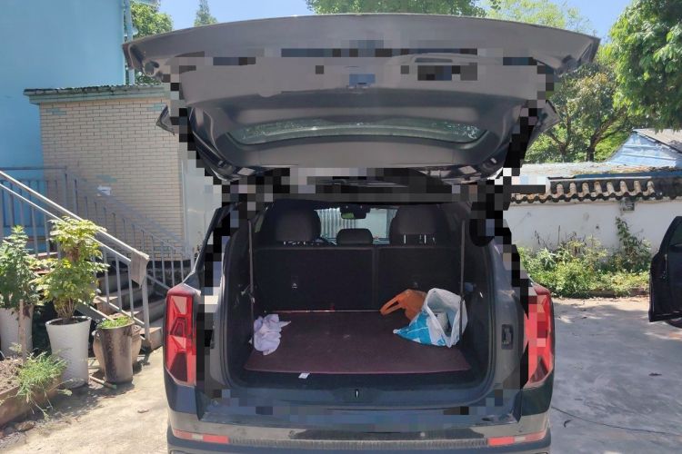 Used GAC Trumpchi GS8 2024 Linghang Series 2.0 TGDI Two-Wheel Drive Luxury Smart Connectivity Version