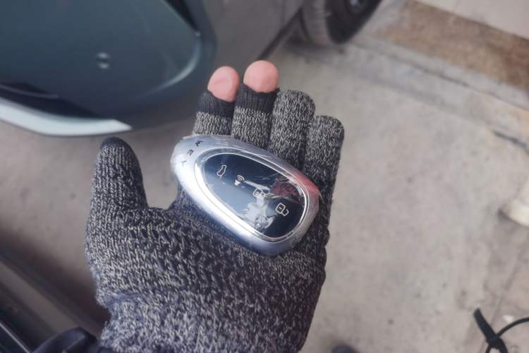 Used Wey Lanshan 2025 Four-Wheel Drive Ultra Vehicle Key