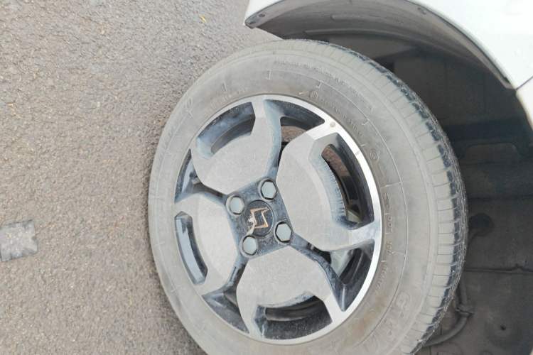 Used SOL E10X 2022 Flower Fairy Style Baby's Breath