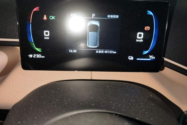 Used BYD Seagull 2023 Free Edition