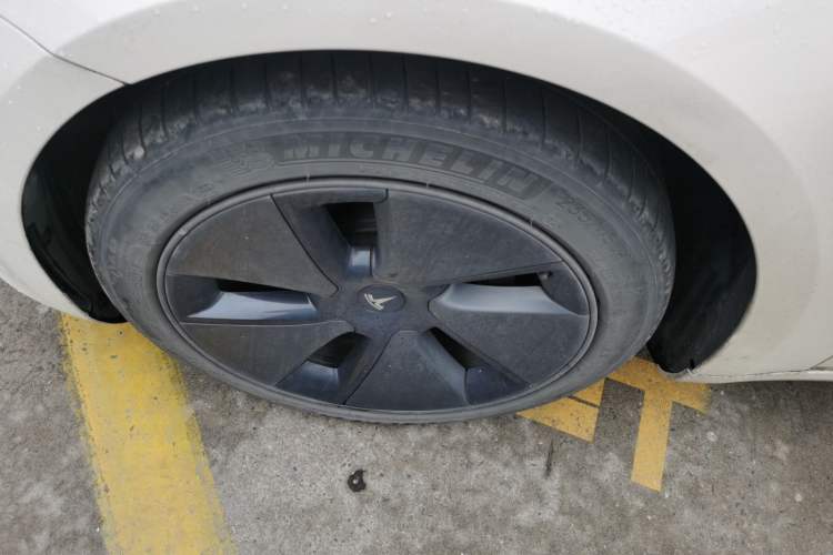 Used Tesla Model 3 2021 Standard Range Rear-Drive Upgraded Version Exterior 4