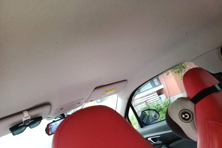 Used Leapmotor T03 2020 400 Lite Edition Headliner