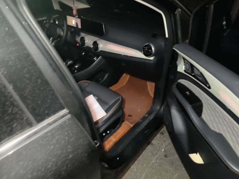 Used FORTHING Yacht 2024 1.5T DCT Guanhai Edition — 22