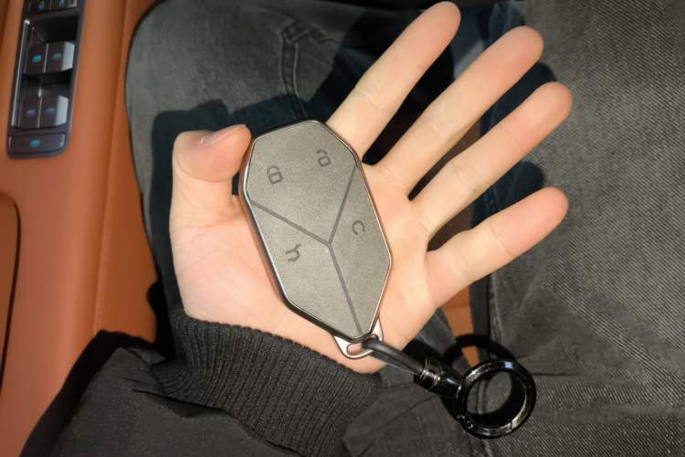 Used Formula Leopard Tai 7 2025 Model 190 km Four-Wheel Drive Max Edition