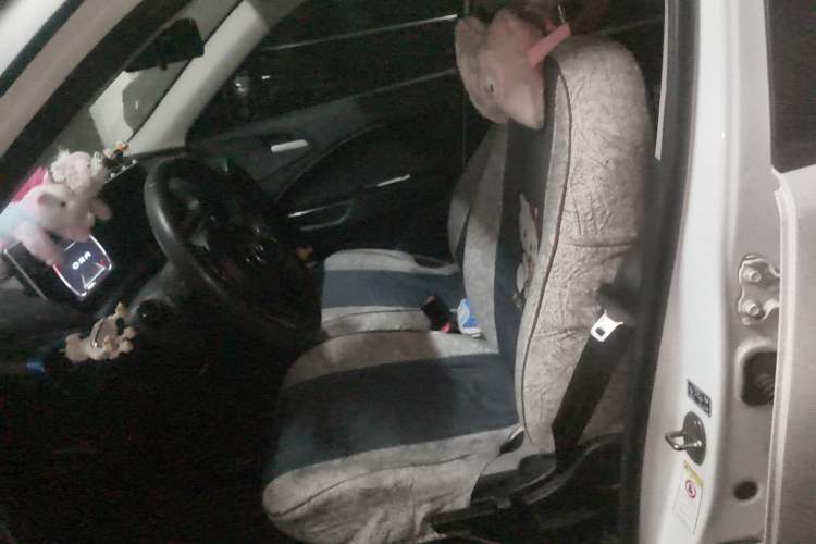 Used ORA White Cat 2020 305 km Luxury Version