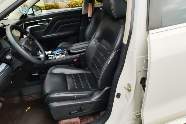 Used Venucia Star 2020 260T Automatic XingShang Edition
