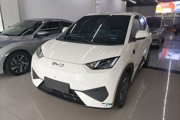 Used BYD Seagull 2025 Smart Drive Version 305 km Freedom Edition