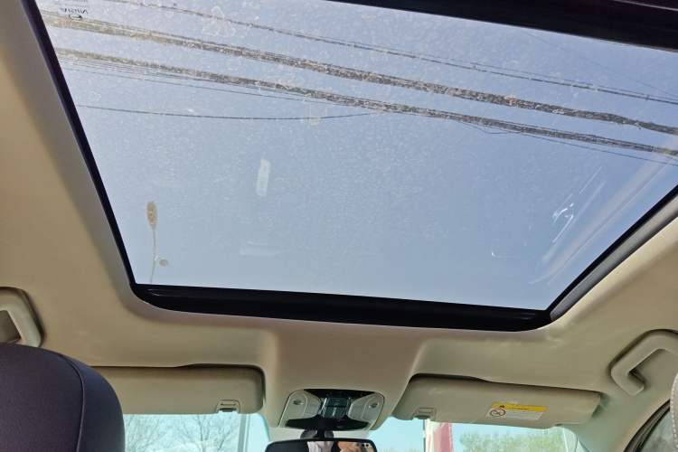 Used GAC Trumpchi GS8 2020 GS8S 390T Two-Wheel Drive Prestige Edition Headliner