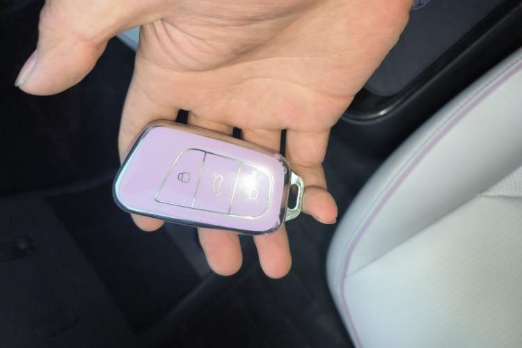 Used Chery Little Ant 2024 321km - Only Love Edition