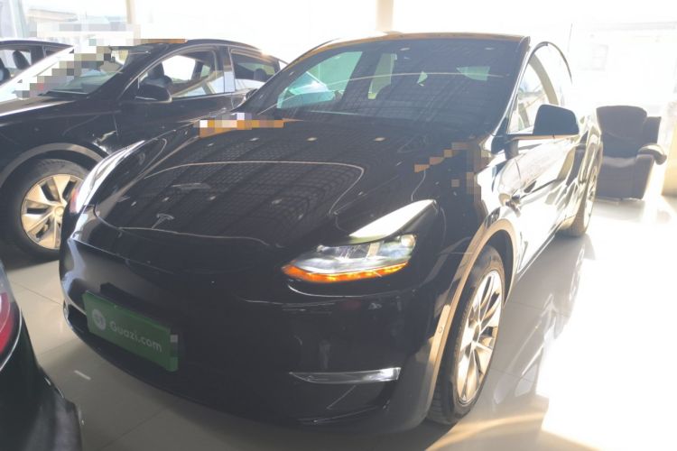 Used Tesla Model Y 2021 Standard Range Rear-Wheel Drive Version
