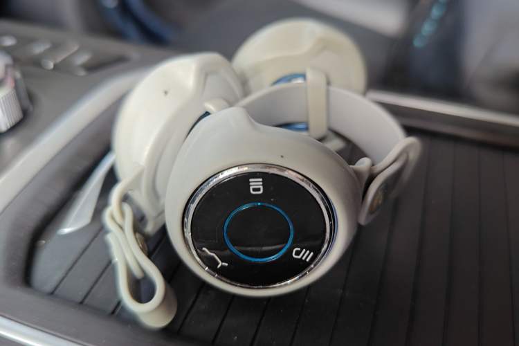 Used NETA U 2020 520 U-Enjoy