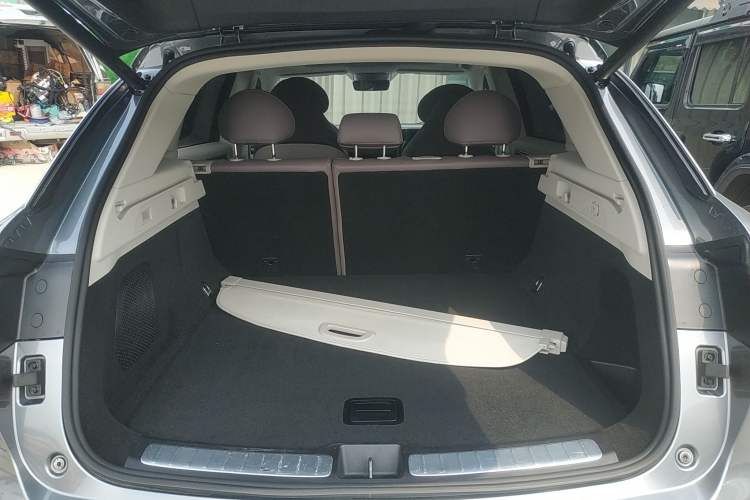 Used Leapmotor C11 2021 Executive Edition 510