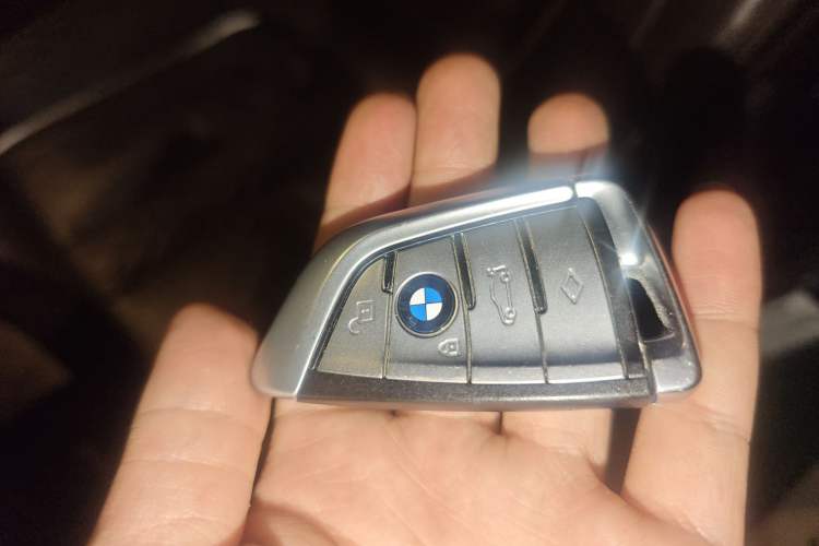 Used BMW 5 Series 2020 530Li Luxury Edition Premium Package