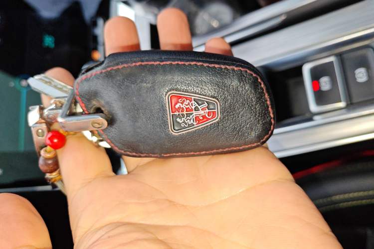 Used Roewe RX5 2020 PLUS 300TGI Automatic Ali National Style Ronglin Edition
