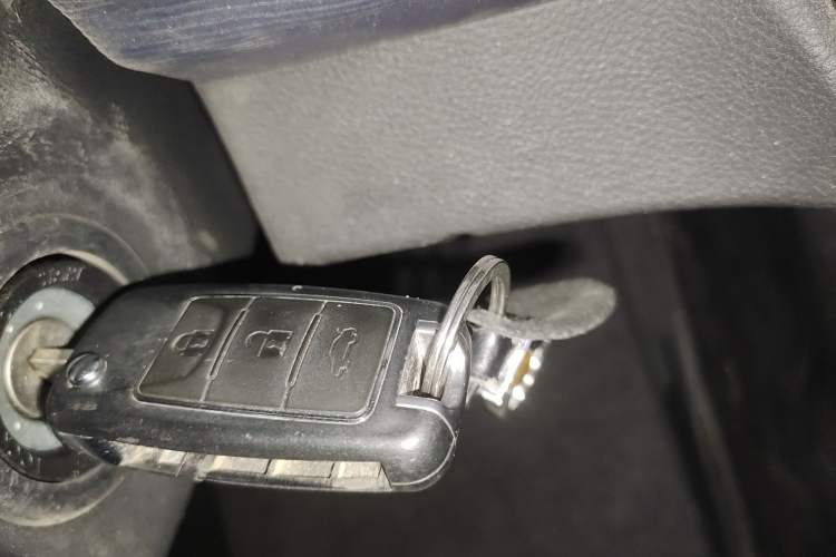 Used FORTHING Lingzhi 
