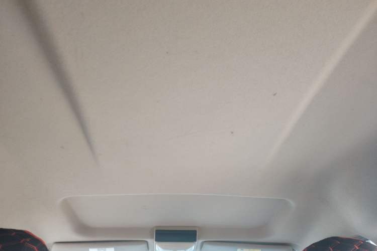 Used FORTHING Lingzhi 2018 M5L 1.6L 7-Seater Luxury Model