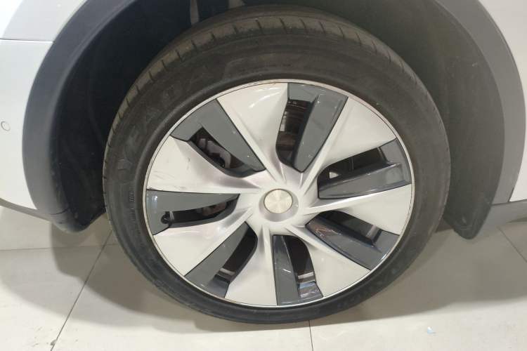 Used Tesla Model Y 2021 Long-Range All-Wheel-Drive Version 3D7