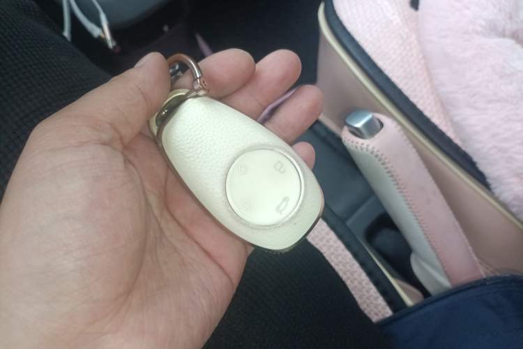 Used Leapmotor T03 2021 400 Lite Edition Lithium Iron Phosphate