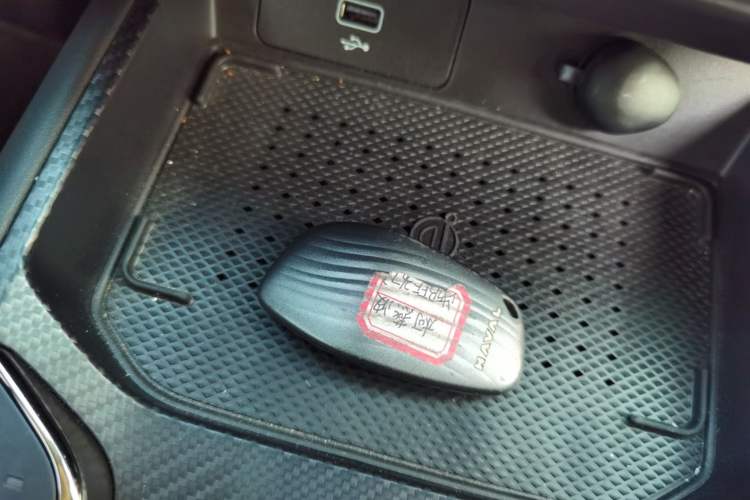 Used Haval H Dog New Energy 2023 DHT-PHEV 105km Trend Electric Edition