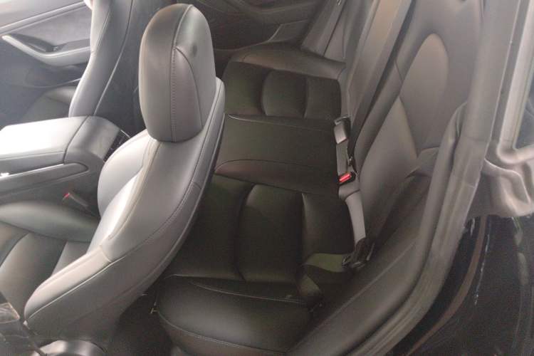 Used Tesla Model 3 2020 Revised Version Standard Range Rear-Wheel Drive – Upgraded Edition