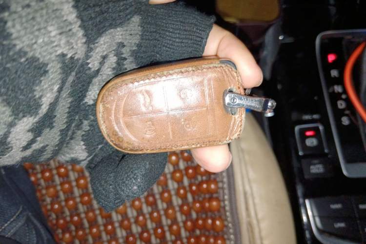 Used BORGWARD BX5 2018 25TGDI Automatic Two-Wheel Drive Urban Model