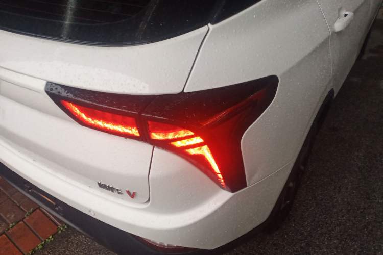 Used NETA V 2021 Long-Range Industry Custom Edition